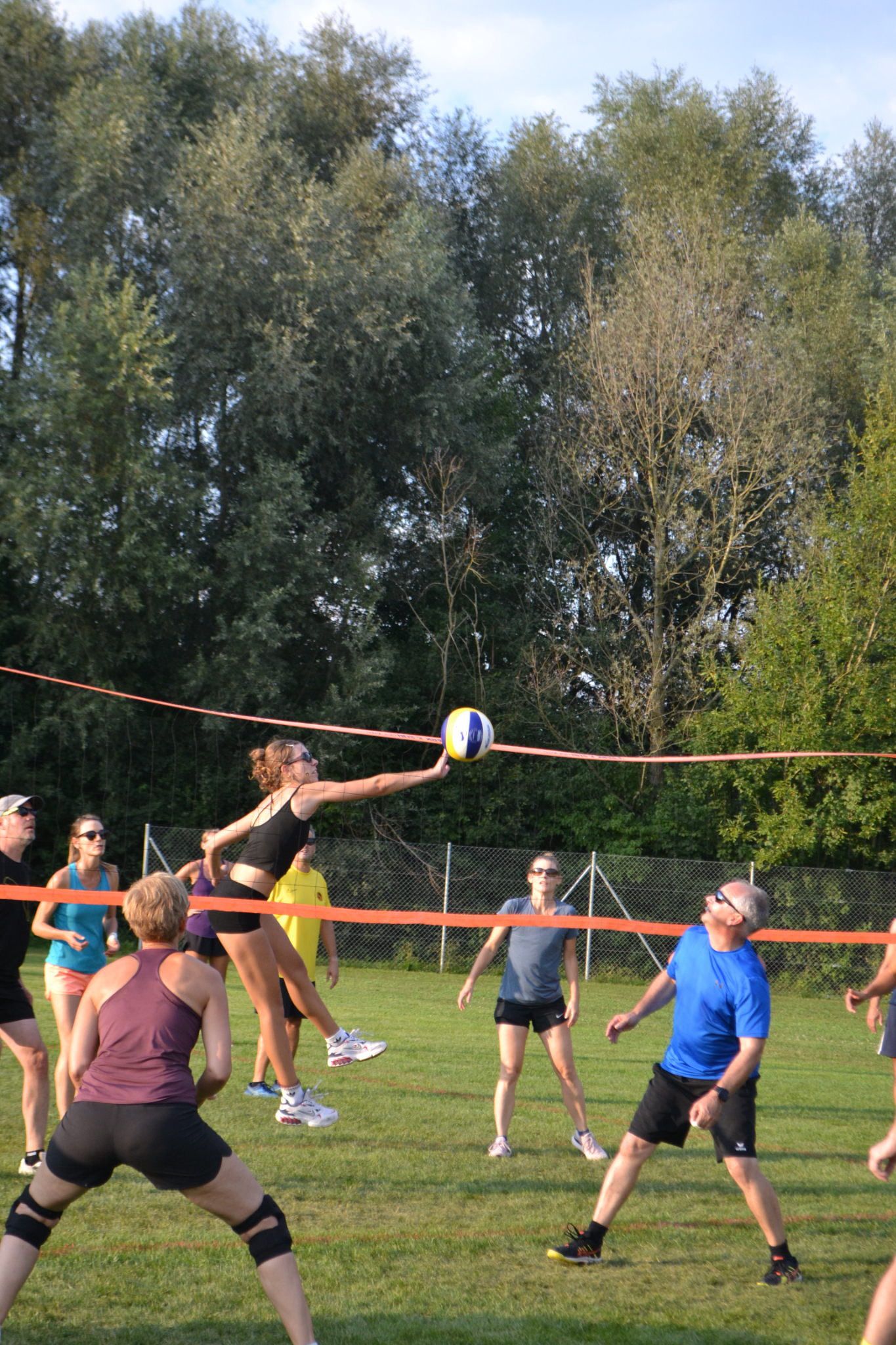 Bild (87)